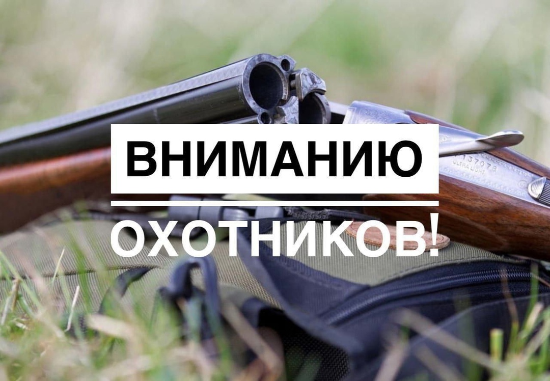 Уведомление о проведении общественного обсуждения материалов, обосновывающих лимиты и квоты добычи охотничьих ресурсов  на территории Псковской области,  на период с 1 августа 2025 г. до 1 августа 2026 г..