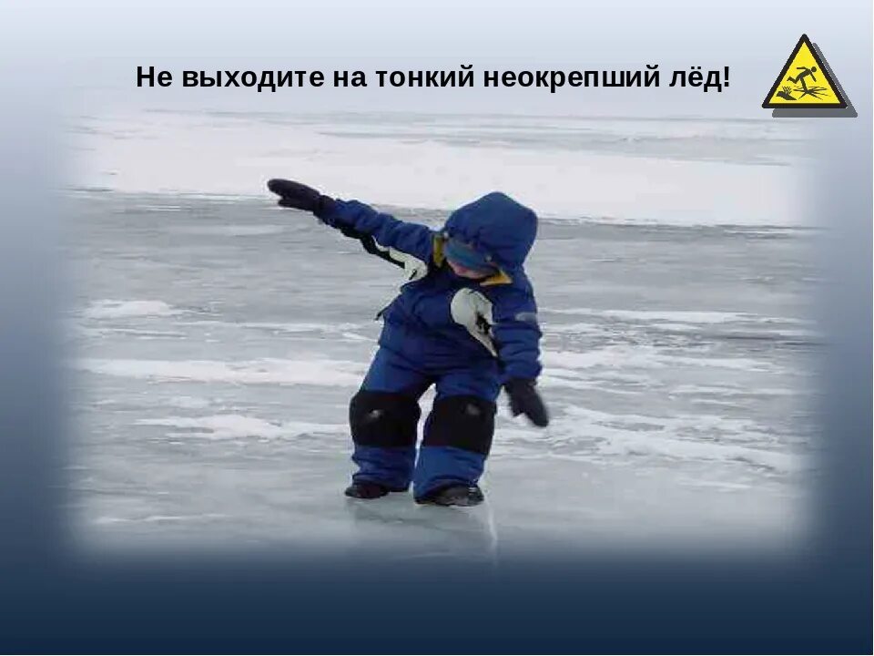 ВНИМАНИЕ – ЛЕДОСТАВ.